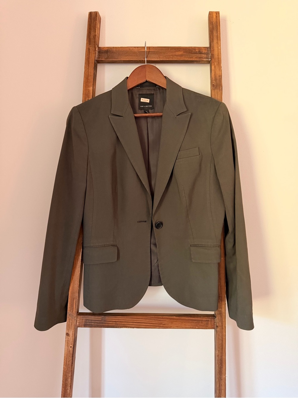 The Limited Womens Single-Button Blazer